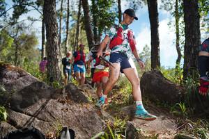 BIB: 
                            <button type="button" onclick="openModal(18954900)" class="btn btn-primary btn-sm float-right btn-popup" data-toggle="modal" data-target=".modal-high-quality">
                        <i class="fas fa-shopping-cart"></i> Add to Cart
                    </button>
                                            <button type="button" onclick="isThisMe(18954900, true)" class="btn btn-success btn-sm float-right btn-popup btn-isme hidden" data-toggle="tooltip" data-placement="bottom" title="นี่คือรูปของคุณใช่ไหม คลิกที่นี่เพื่อเอาเข้าอัลบั้ม">
                        <i class="fas fa-plus"></i> Add to album
                    </button>
                    <button type="button" onclick="isThisMe(18954900, false)" class="btn btn-warning btn-sm float-right btn-popup btn-isnotme hidden">
                        <i class="fas fa-ban"></i> Remove from album
                    </button>